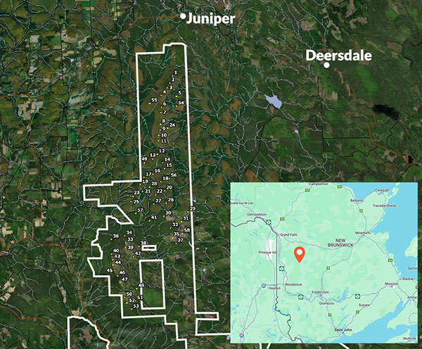 Lire la suite à propos de l’article Dynamitage sur le Sentier 53 – secteur Juniper